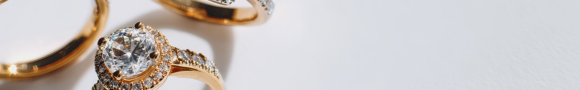 collection-banner-image